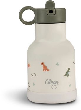 Botella térmica 250ml Dino - Citron