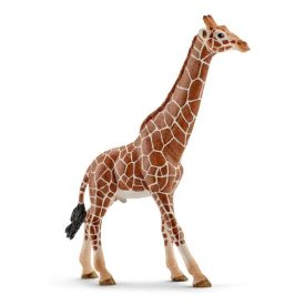 Jirafa macho - Schleich