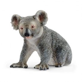 Koala macho - Schleich