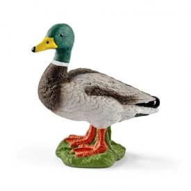 Pato - Schleich