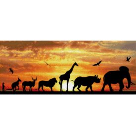 Diamand Dotz - African Sky