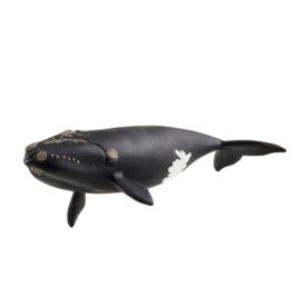 Ballena franca glacial - Schleich