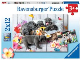 Puzzle - Pequeñas bolas de pelo 2x12 pzas.