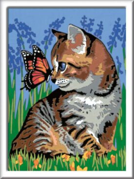 Creart - Gatito y mariposa