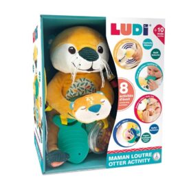 Conjunto Actividad Nutria
