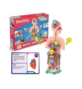 Cuerpo humano antigérmenes - Smartivity