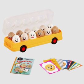 Match & Learn Eggs