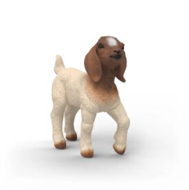 Cabritillo Bóer - Schleich
