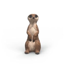 Suricato - Schleich