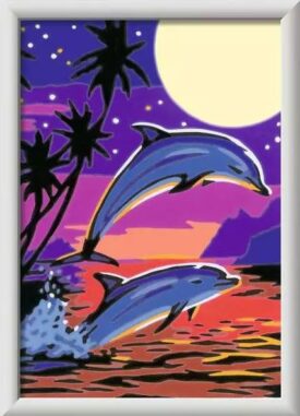 Creart - Dolphins Adventures
