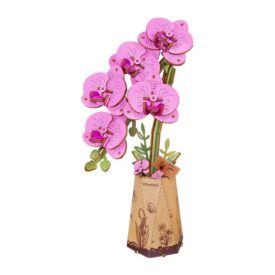 Wooden Bloom Draft - Orquídea